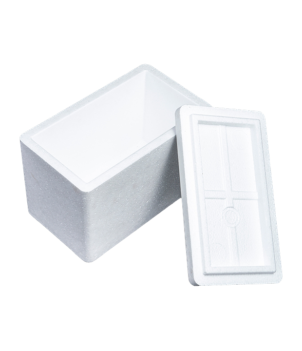 EPS-Verpackungsbox