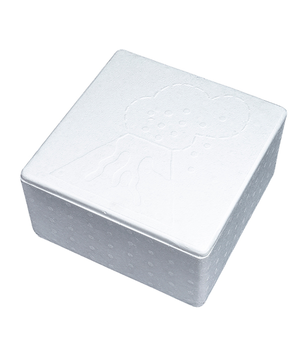 EPS-Verpackungsbox