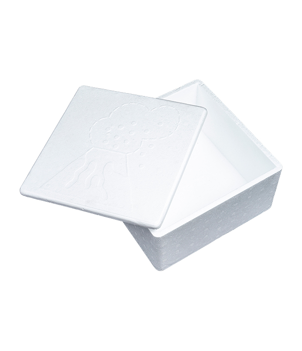 EPS-Verpackungsbox