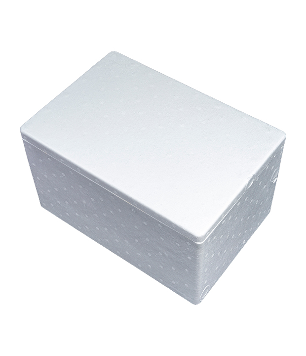 EPS-Verpackungsbox
